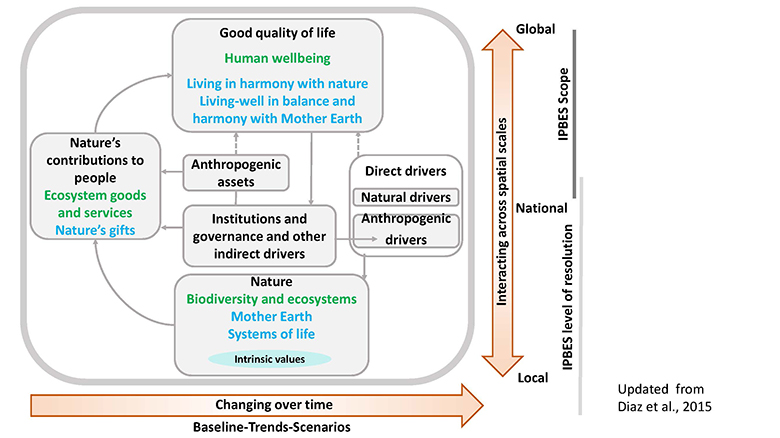 The IPBES Conceptual Framework